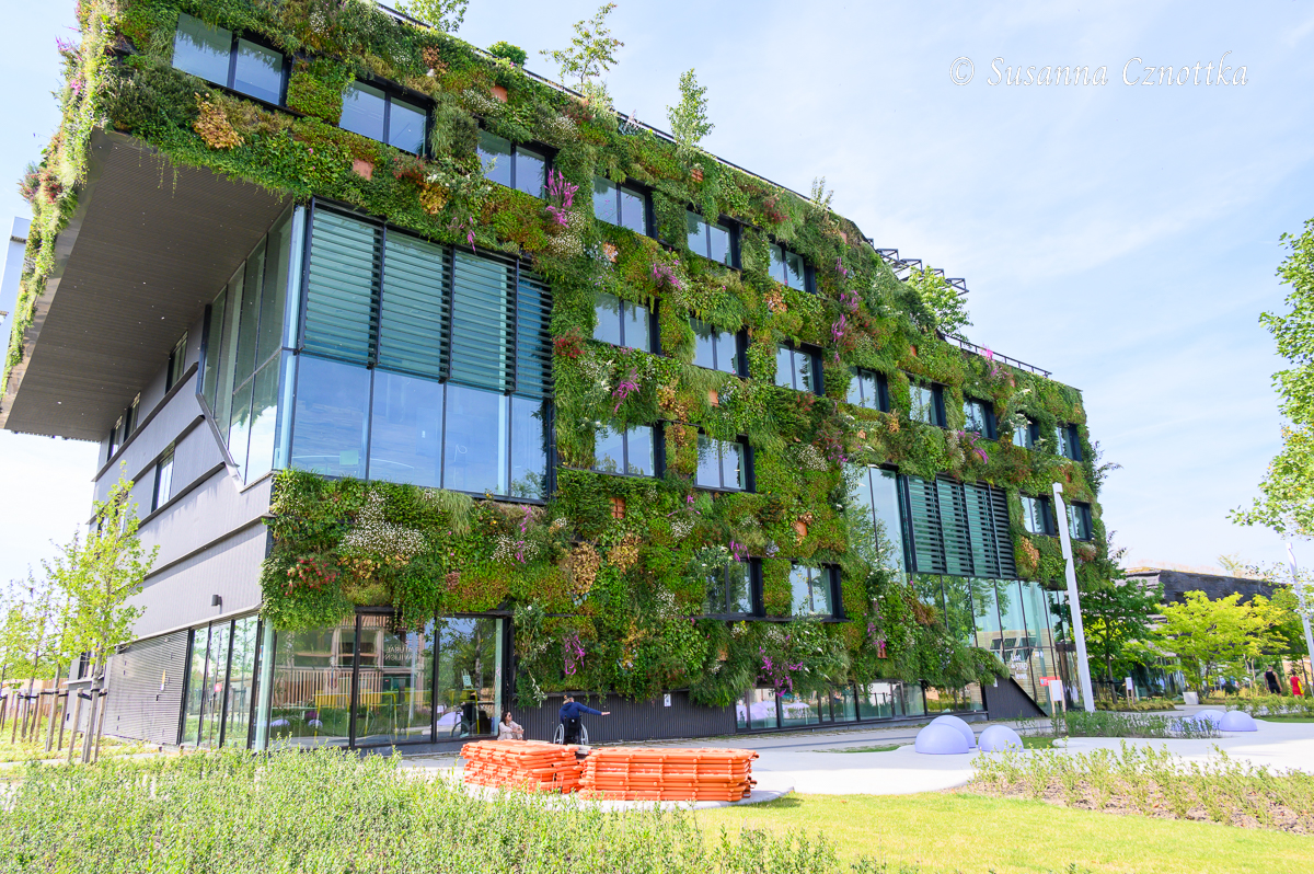 Vertical gardening: Begrünte Häuserfassade auf der Floriade