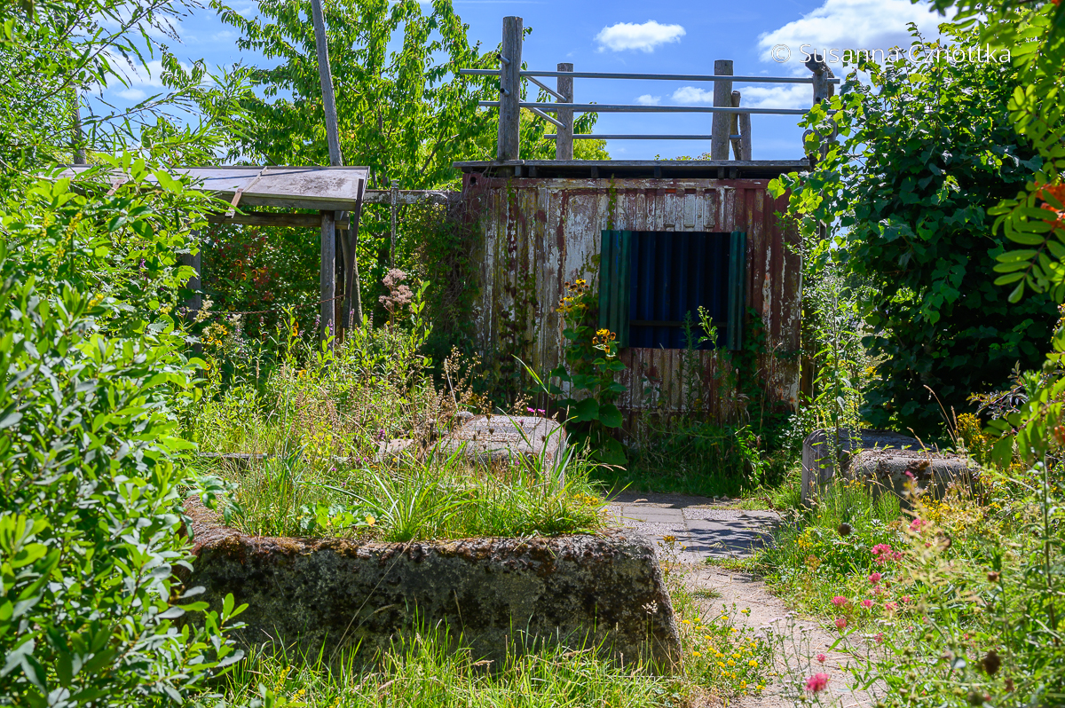 Verwunschener Gartenraum mit Betonmauern und einer alten Hütte