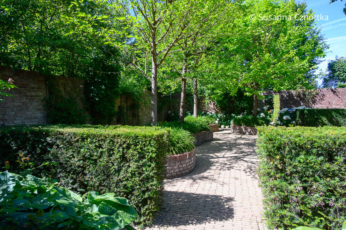 Eine halbhohe Eibenhecke als Raumteiler in einem Garten