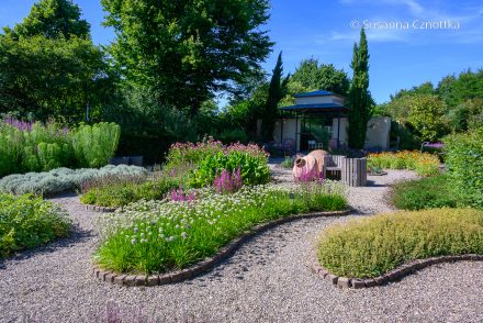Gartengestaltung: Kiesgarten mit mediterranem Flair