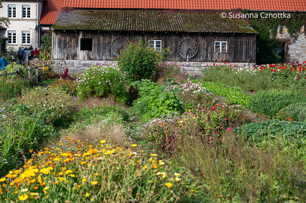 Schnittblumengarten im Landgarten Schauerte Schnittblumengarten im Landgarten Schauerte