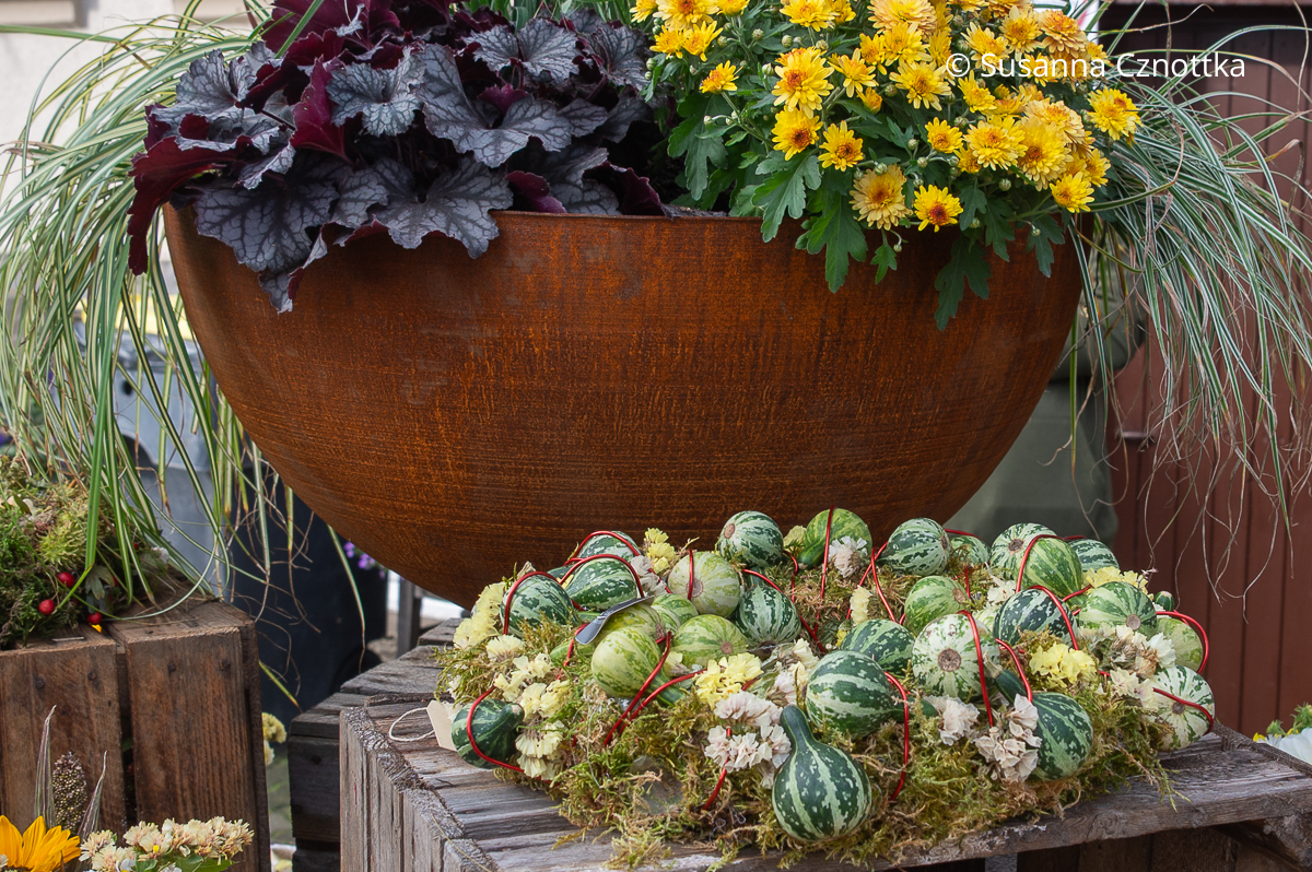 Herbstdekoration: ein Mooskranz mit Zierkürbissen und wenigen Blüten Herbstdekoration: ein Mooskranz mit Zierkürbissen und wenigen Blüten