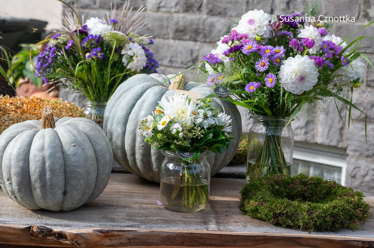 Graue Kürbisse mit Blumensträußen in Weiß und Violett Graue Kürbisse mit Blumensträußen aus Astern und Dahlien in Weiß und Violett