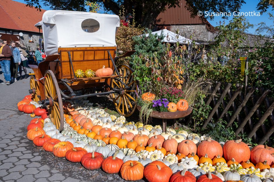 Kürbisfest am Landgarten Schauerte