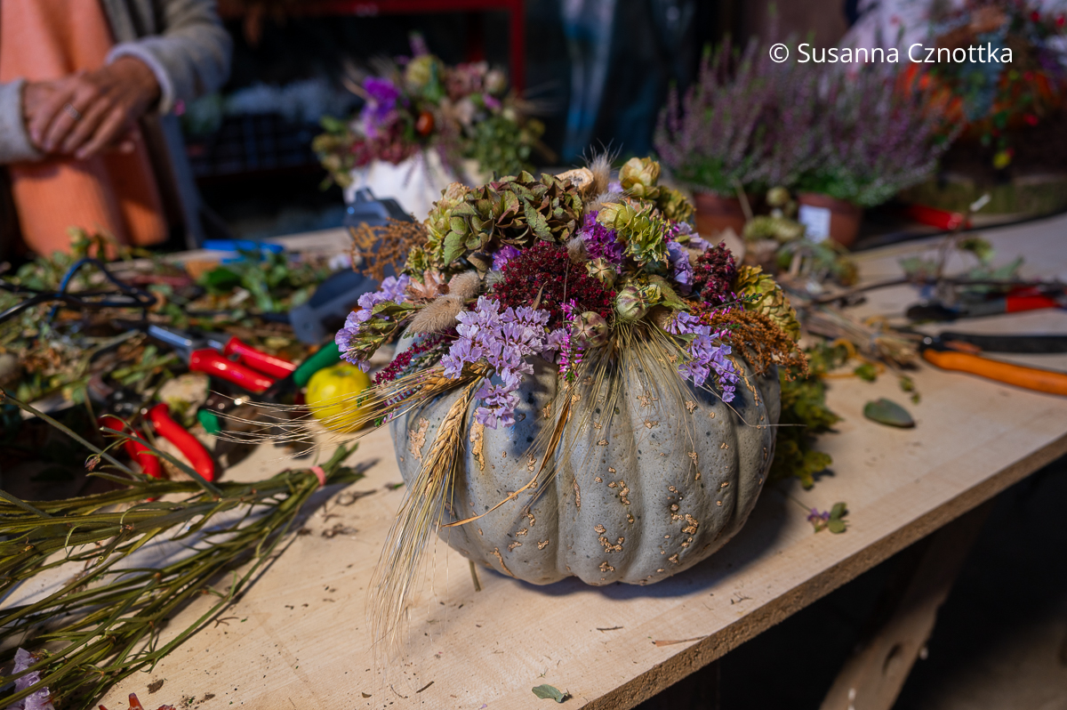 Grauer Kürbis mit Deko aus Strandflieder, Hortensie, Hopfen und Nigella Grauer Kürbis mit Deko aus Strandflieder, Hortensie, Hopfen und Nigella