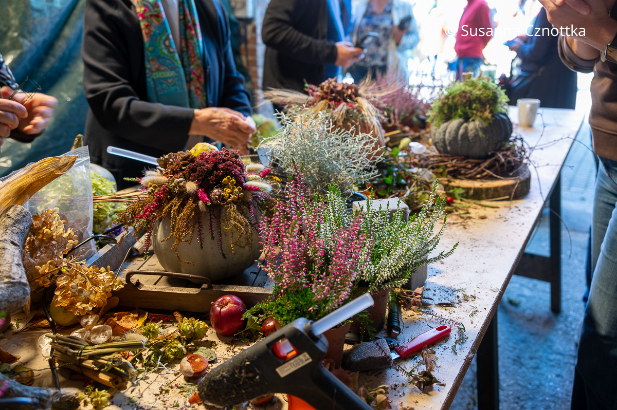 Workshop im Landgarten Schauerte: herbstliche Gartendekorationen mit Kürbissen Workshop im Landgarten Schauerte: herbstliche Gartendekorationen mit Kürbissen