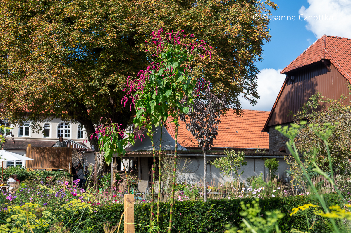 Landgarten Schauerte: vom Podest aus kann man den Garten von oben sehen Landgarten Schauerte: vom Podest aus kann man den Garten von oben sehen