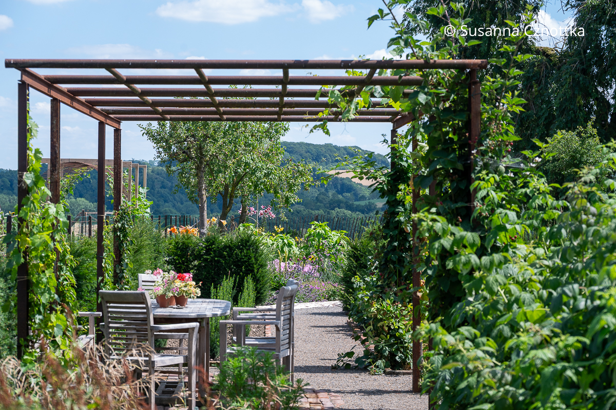 Eine Pergola strukturiert den Garten in der Höhe und gibt ihm gleichzeitig Tiefe. 