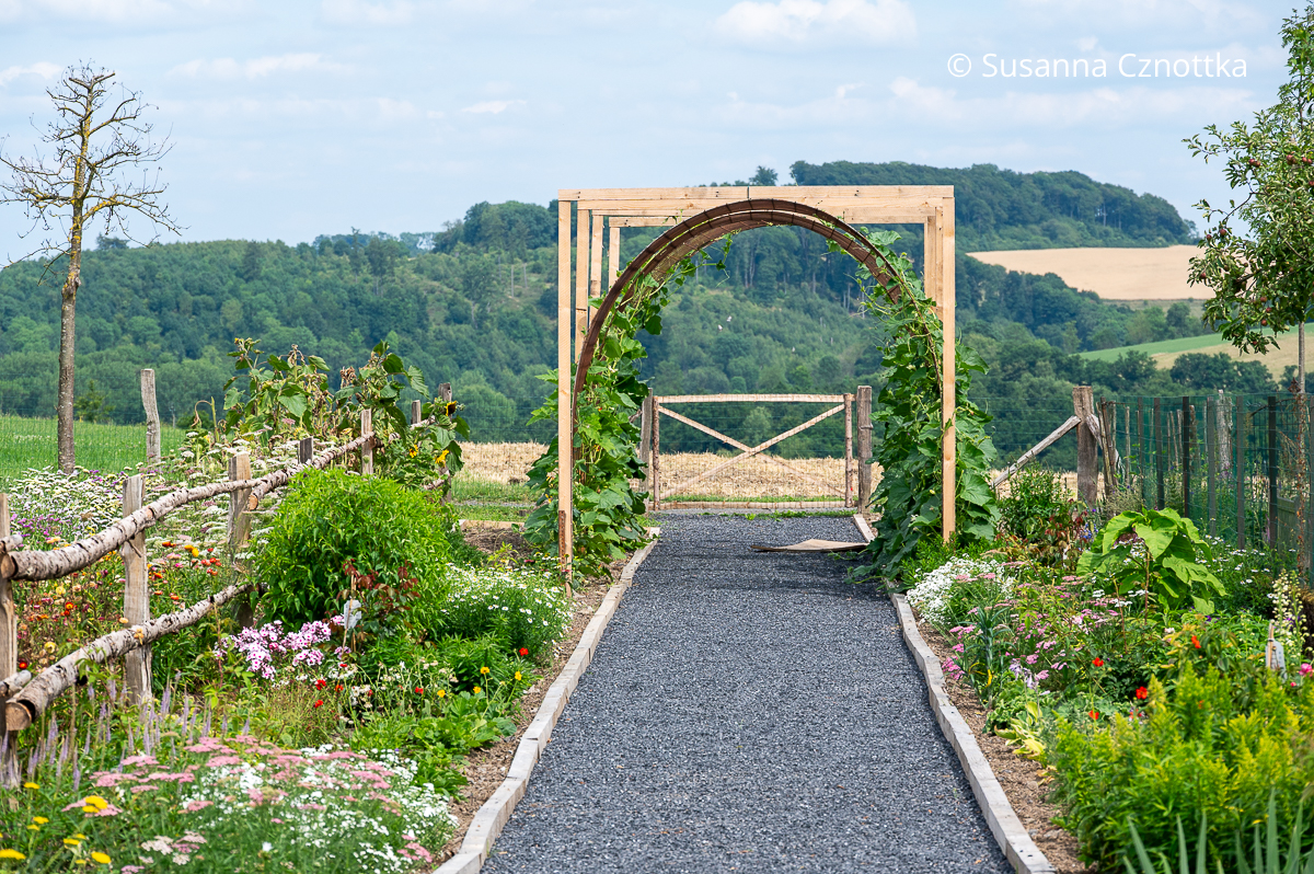 Kanthölzer begrenzen Staudenbeete Kanthölzer begrenzen Staudenbeete