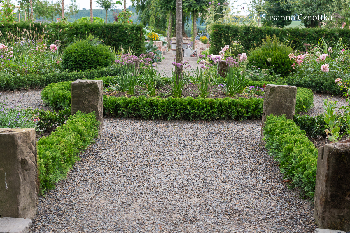 Einfassung für Staudenbeete: Lebensbaum (Thuja occidentalis) 'Mecki' Einfassung für Staudenbeete: Lebensbaum (Thuja occidentalis) 'Mecki'