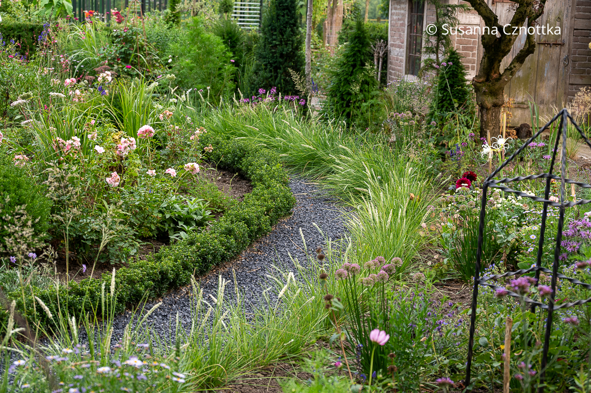 Einfassung für Beete: Herbst-Kopfgras (Sesleria autumnalis) und (Euonymus fortunei) 'Green Empire' Einfassung für Beete: Herbst-Kopfgras (Sesleria autumnalis) und (Euonymus fortunei) 'Green Empire'