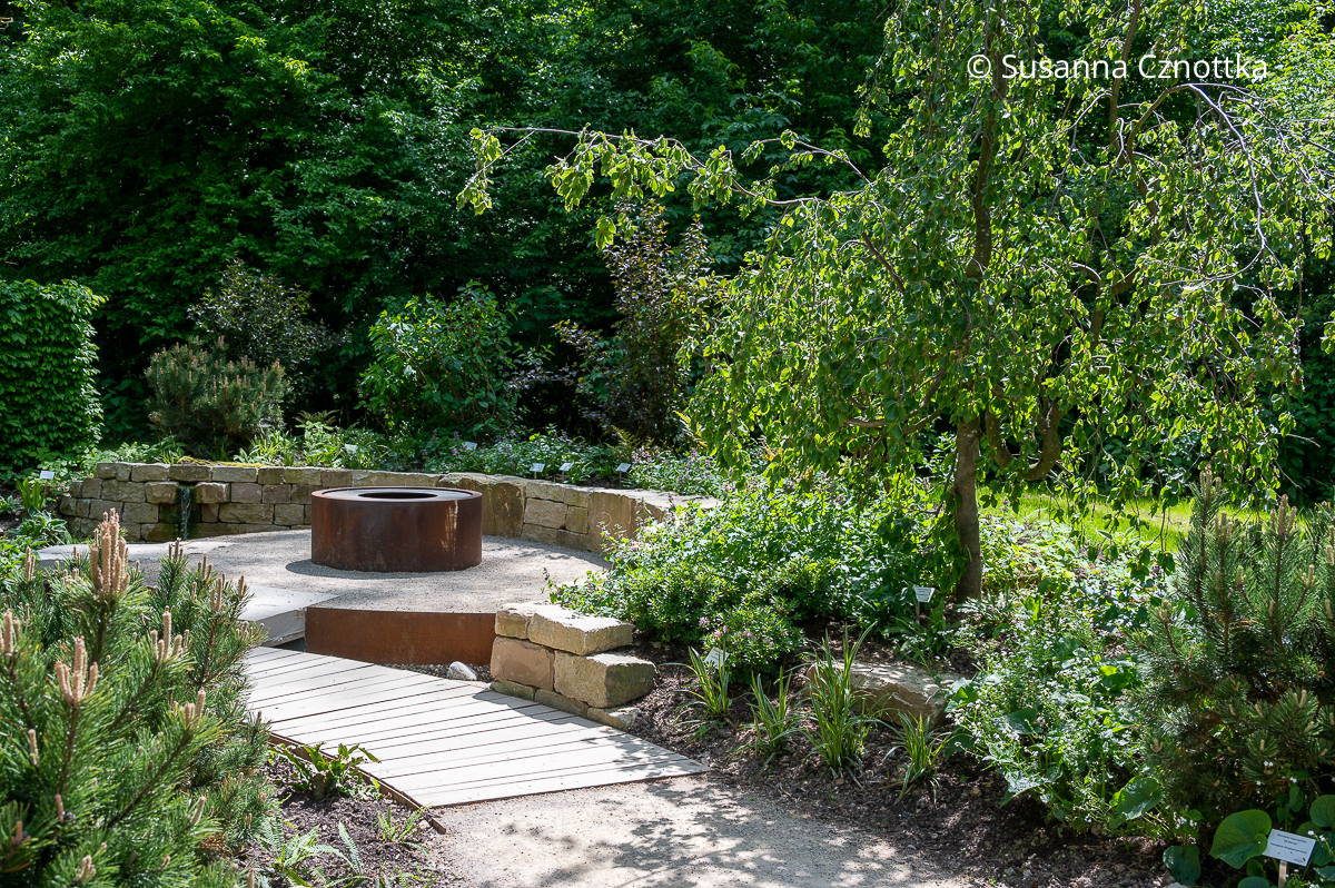 "Fifty Shades of Green": dieser kleine Garten lädt zum Waldbaden ein