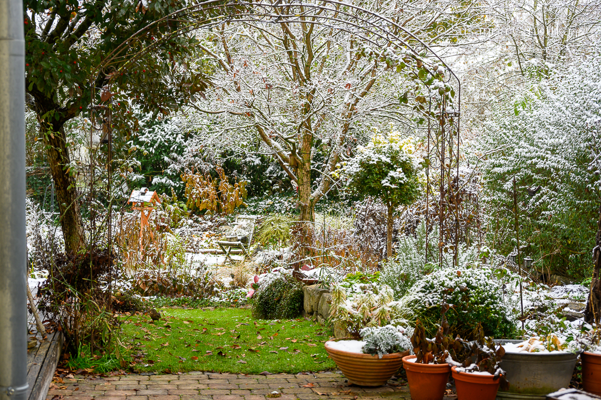 Ein leicht verschneiter Garten