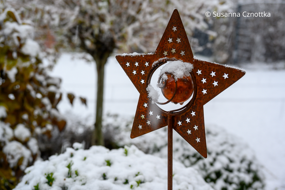 Ein Stern aus rostigem Metall als weihnachtliche Gartendekoration