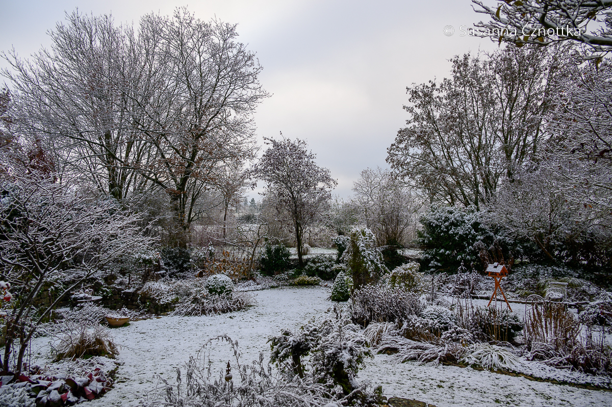 Ein attraktives winterliches Gartenbild