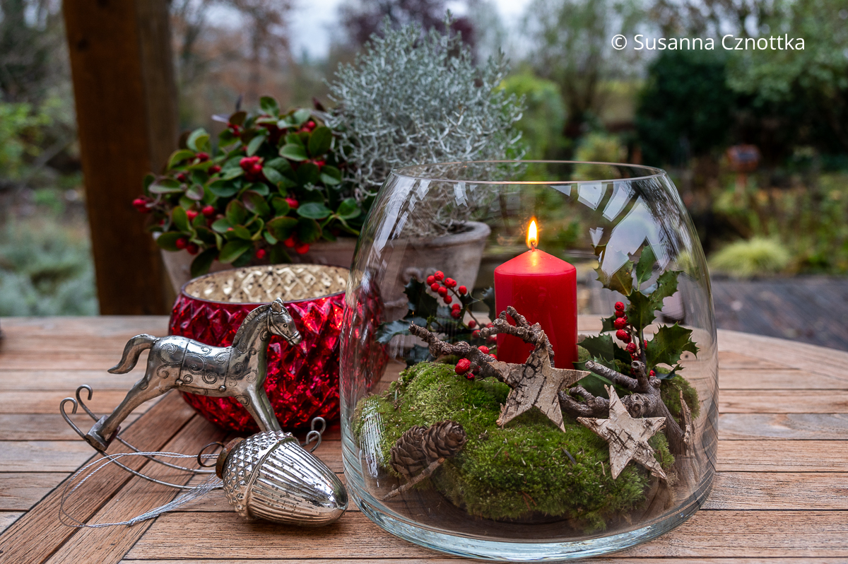 Weihnachtsdekoration im Garten: Windlicht mit Moos, Ilex, knorrigem Birnenzweig und Birkensternen geschmückt