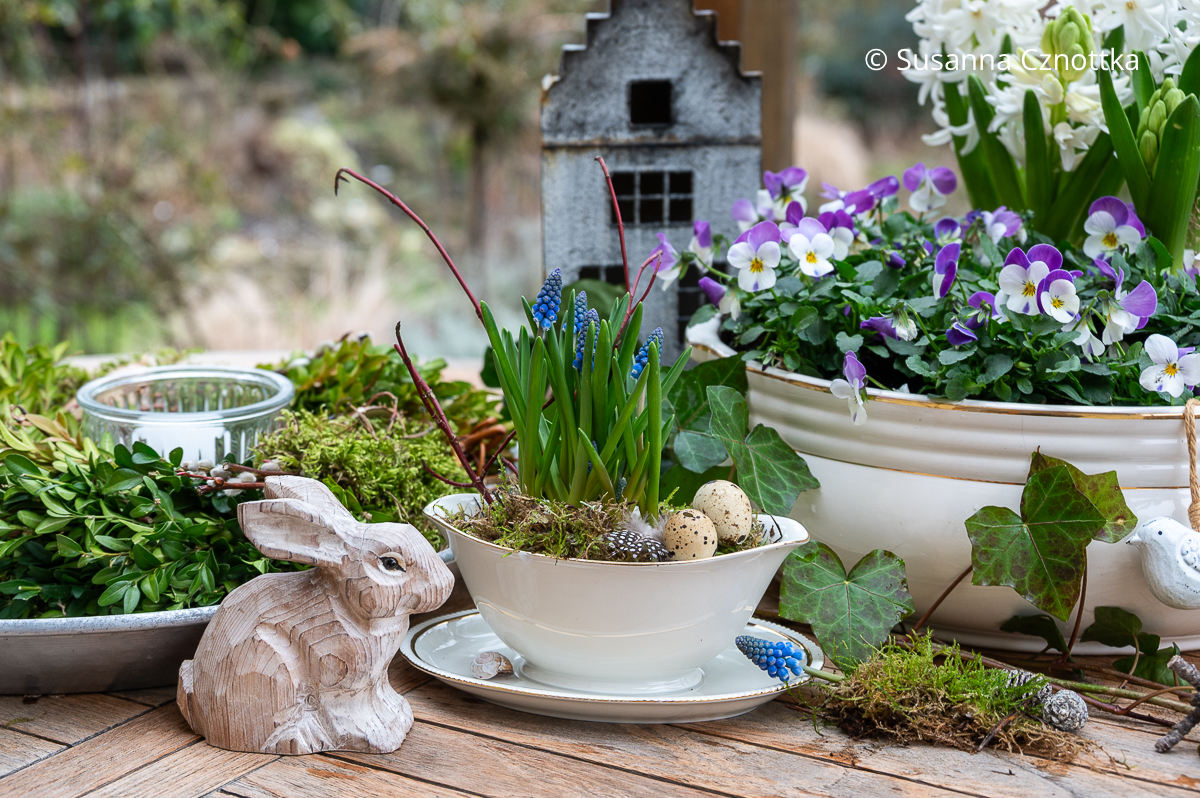 Osterdeko auf dem Terrassentisch: Horn-Veilchen (Viola cornuta) und Perlhyazinthen (Muscari) mit einem Hasen aus Holz