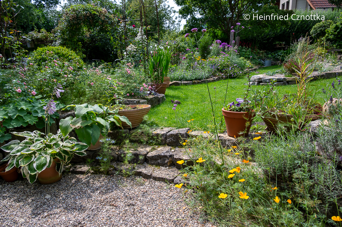 Blick auf Beete und Rasen in einem Garten aus einem Senkgarten heraus