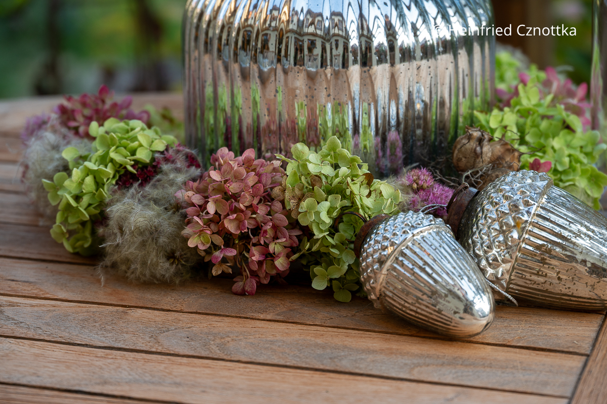 Ein Detail eines kleinen Herbstkranzes mit Hortensien Ein Detail eines kleinen Herbstkranzes aus Hortensien und Wilder Klematis mit Eicheln aus Bauersilber
