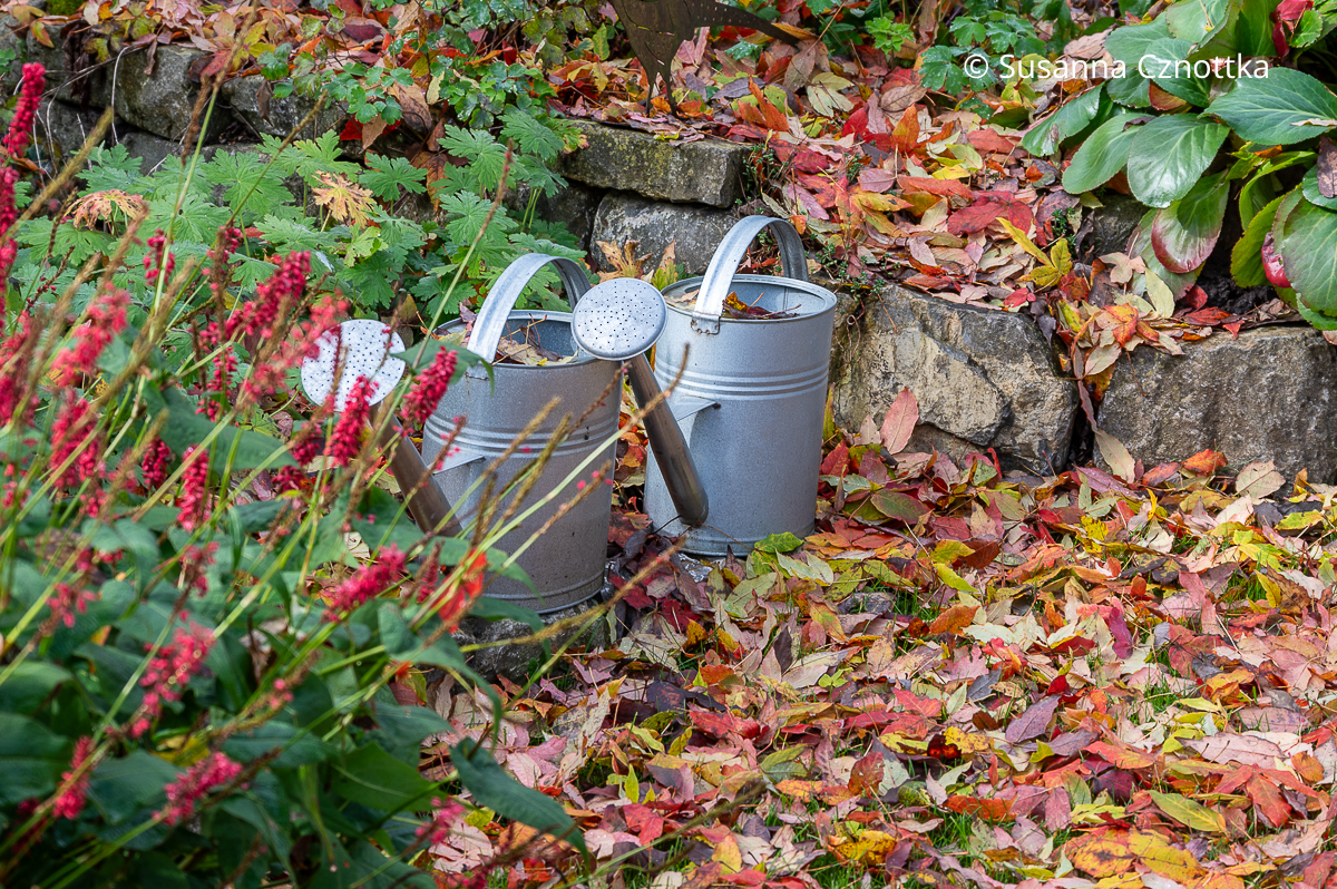 Zwei Gießkannen aus Zink und bunte Blätter auf einem Rasen