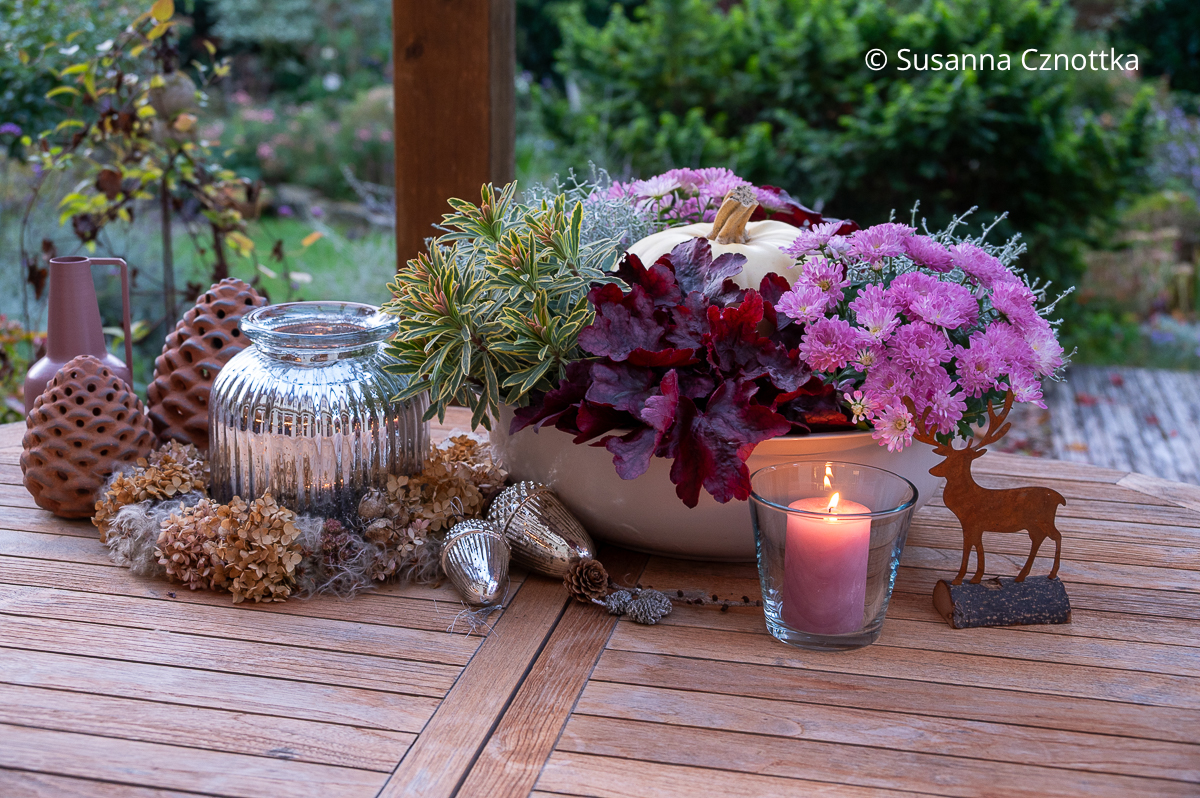 Herbstliche Dekoration für die Terrasse in Beerenfarben Herbstliche Dekoration auf einem Terrassentisch mit einem weißen Kürbis, Chrysanthemen und Purpurglöckchen in Beerenfarben in einer weißen Emailleschale, Windlicht und Eicheln aus Bauernsilber und einem kleinen Hirsch in Rostoptik