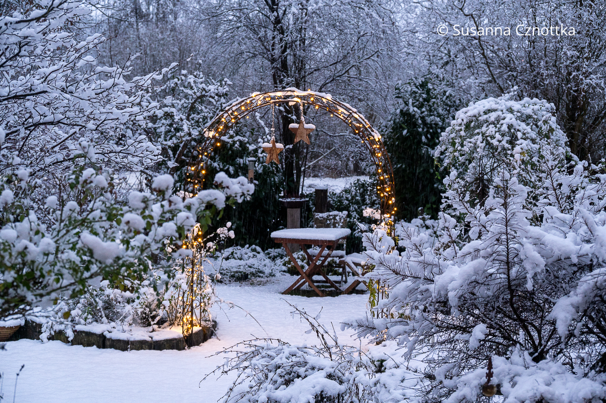 Gartendekoration: der Garten im Schnee mit einer Lichterkette am Rosenbogen Gartendekoration: der Garten im Schnee mit einer Lichterkette am Rosenbogen