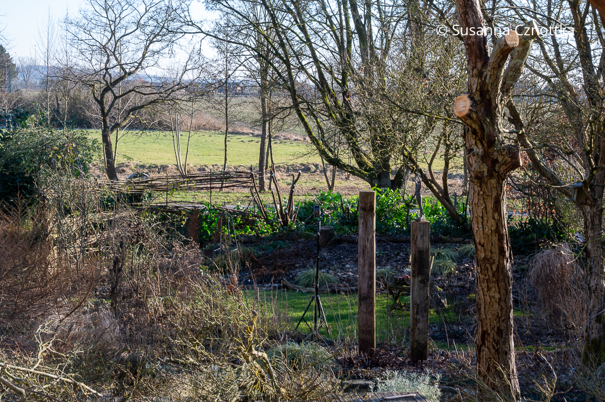 Blick über einen Gartenteil auf die Wiesen dahinter Blick über einen Gartenteil auf die Wiesen dahinter