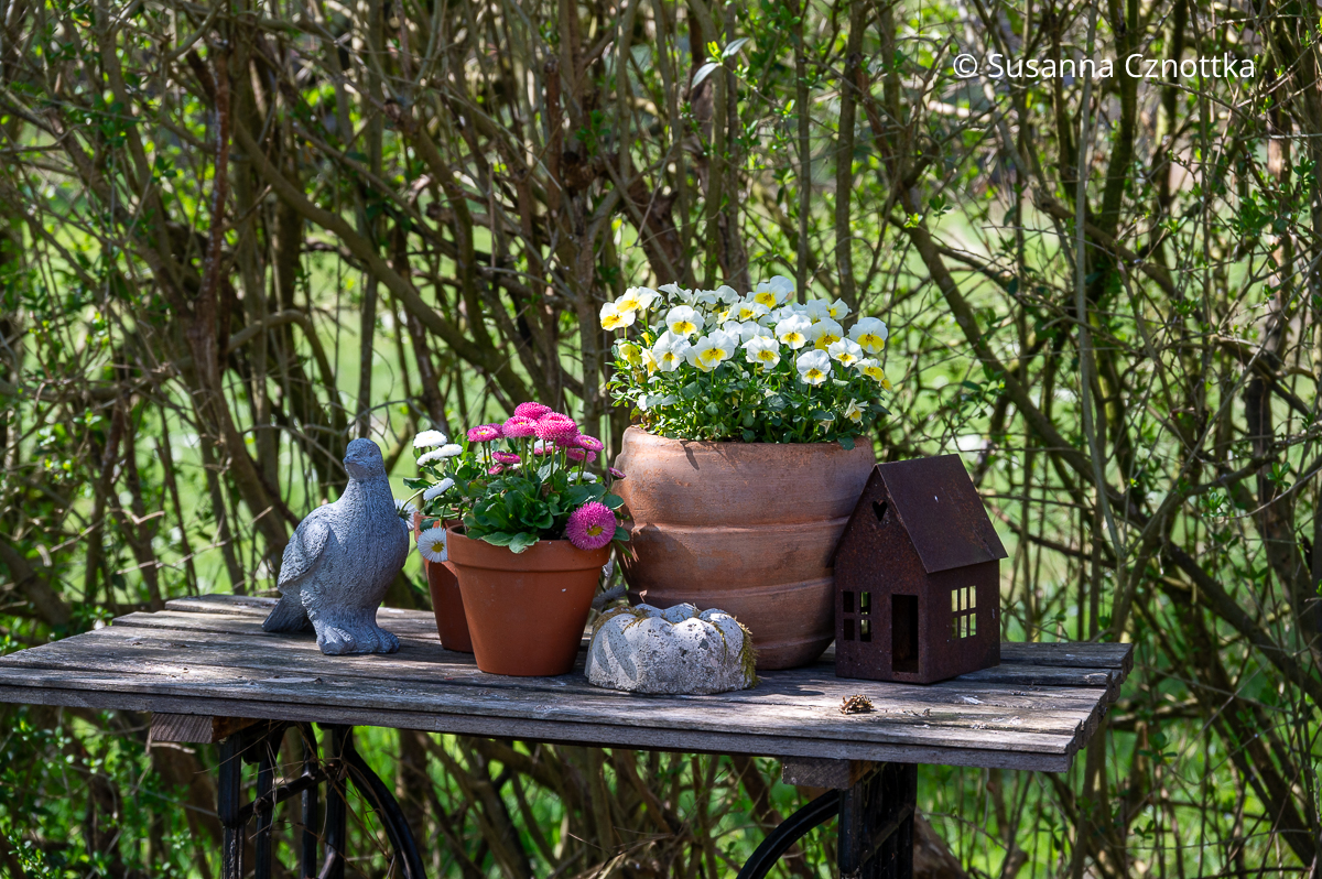 Gartendekoration: Frühblüher auf einem alten Nähmaschinentisch Gartendekoration: Frühblüher auf einem alten Nähmaschinentisch