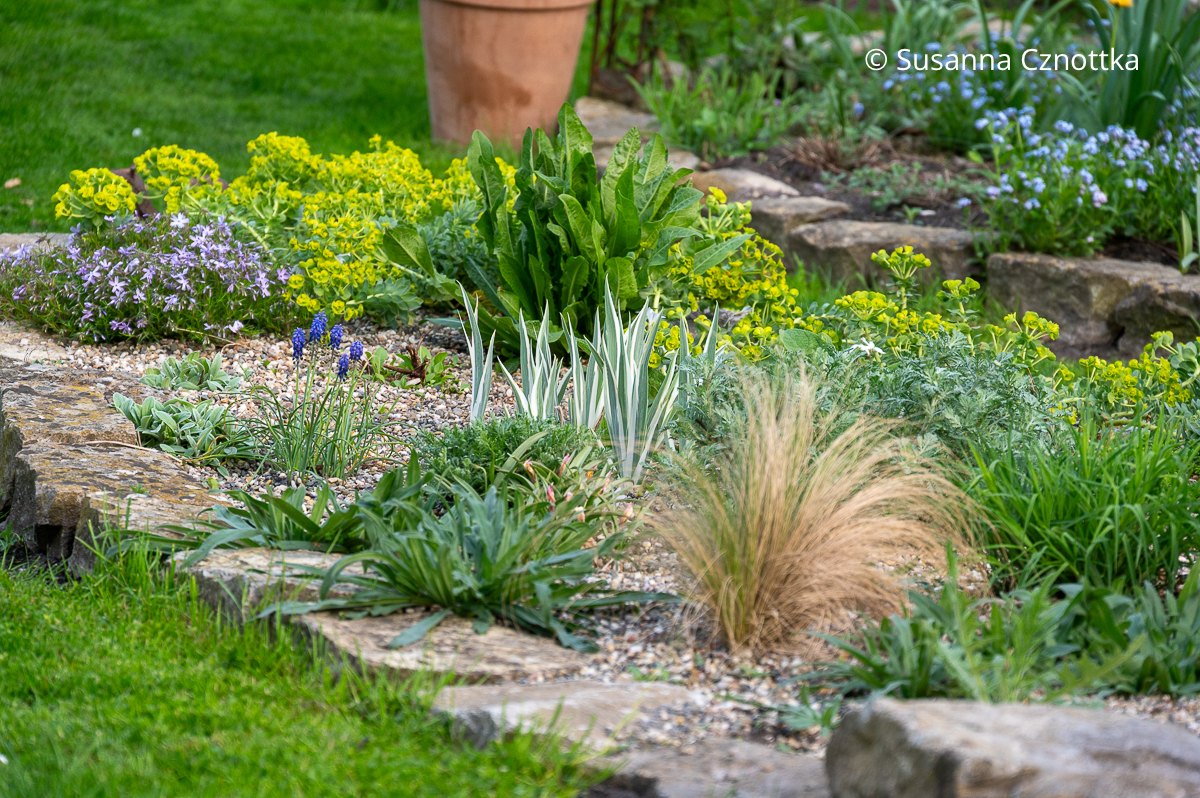 Ein Magerbeet oder Splittbeet mit attraktiver Bepflanzung Ein Magerbeet oder Splittbeet mit attraktiver Bepflanzung