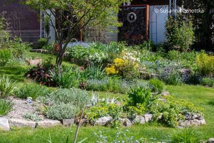 Frühlingsbeete gestalten: u.a. mit Felsen-Steinkraut (Aurinia saxatilis), Vergissmeinnicht und Walzen-Wolfsmilch (Euphorbia myrsinites)