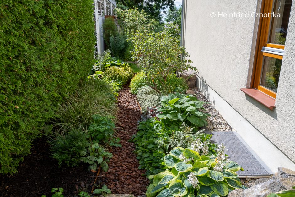 Schmalen Gartenstreifen Gestalten