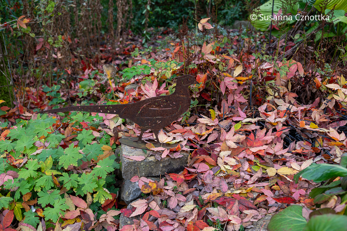 Buntes Herbstlaub und ein Dekofasan in Rostoptik