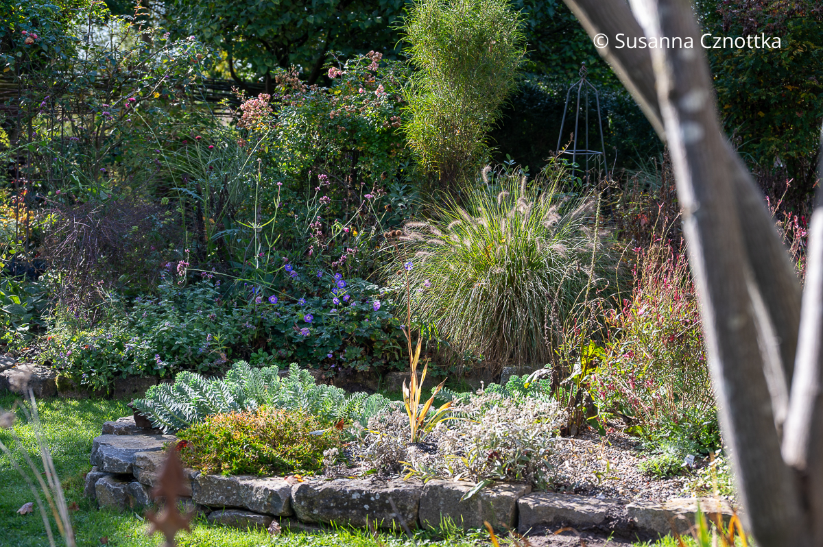 Beet mit Stauden und  Gräsern im Herbstlicht