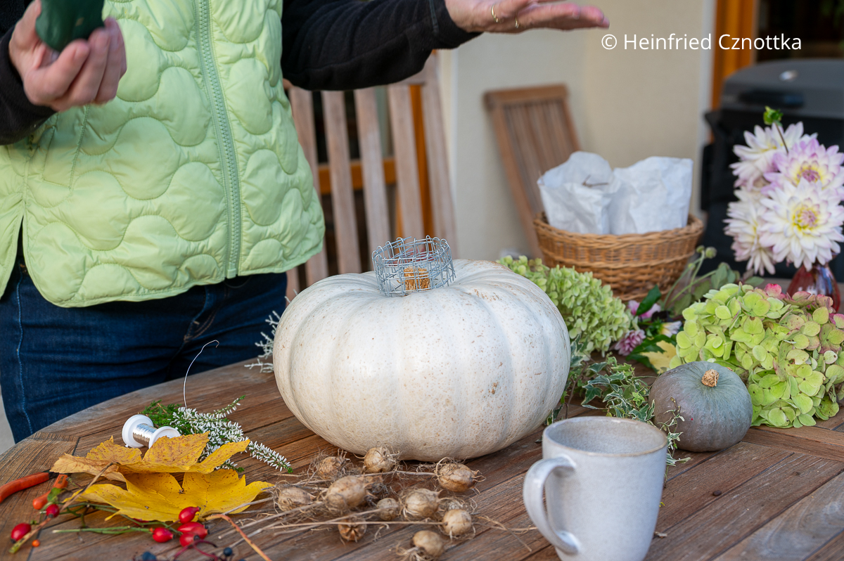 Herbstdeko herstellen: ein Ring aus Kaninchendraht auf einem Kürbis Herbstdeko herstellen: ein kleiner Ring aus Kaninchendraht auf einem eißen wKürbis