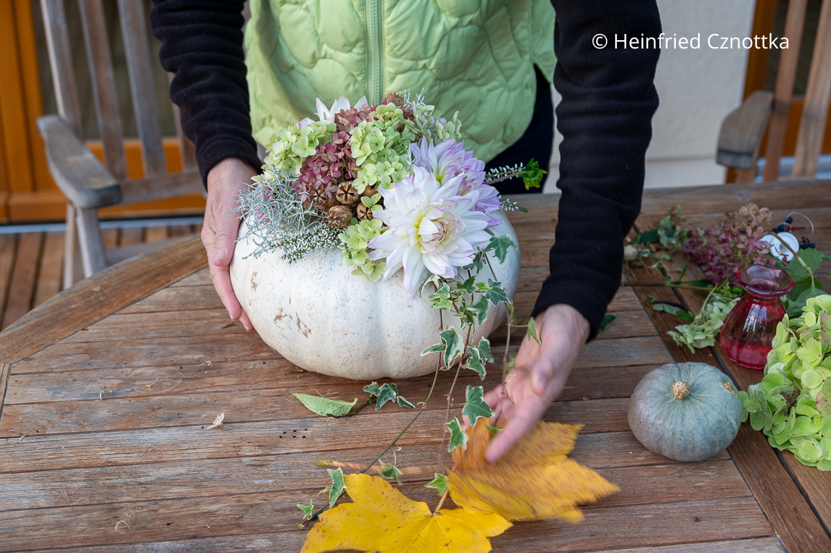 DIY-Herbstgesteck: So sieht der fertig dekorierte Kürbis aus. DIY-Herbstgesteck: ein weißer Kürbis mit einer Dekoration aus Dahlien, Efeu, Hortensien und Samenständen der Jungfer im Grünen