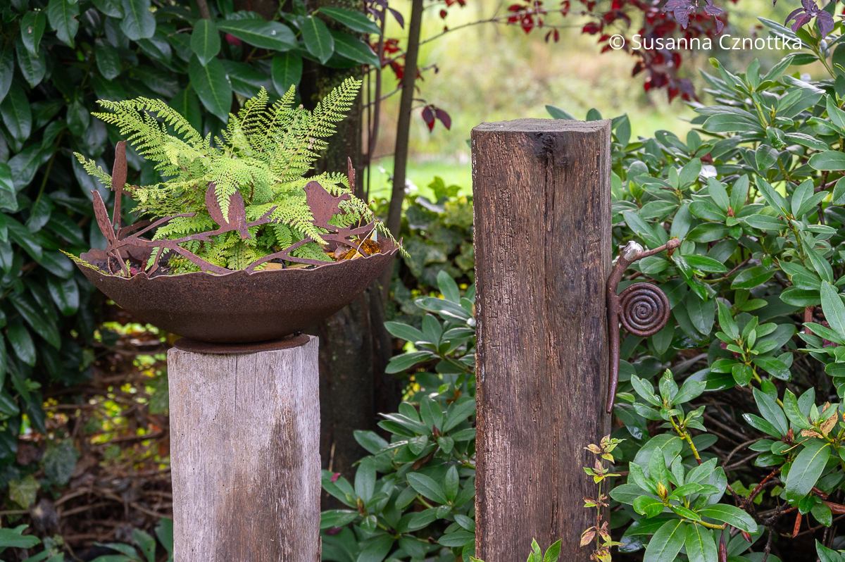 Gartendekoration: Schale in Rostoptik mit frisch grünem Farn