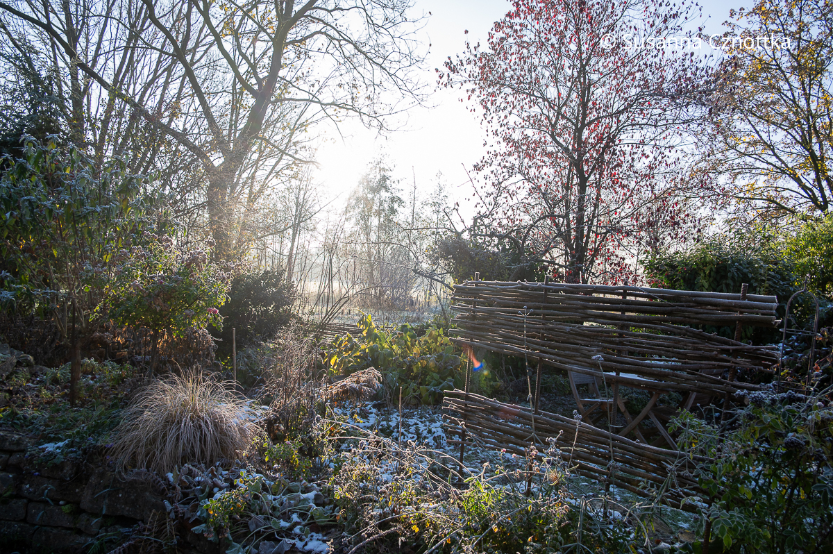 Gartenräume gestalten: Raumteiler aus Haselruten und Moniereisen