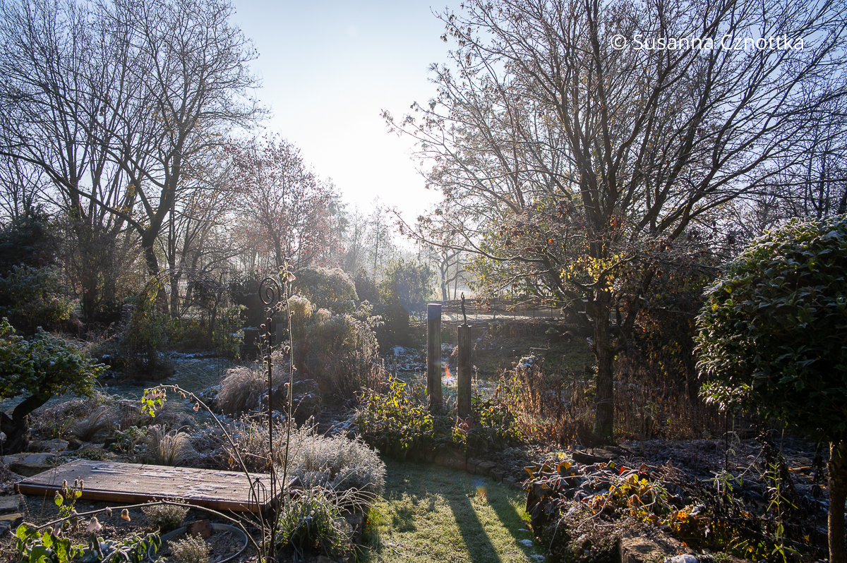 Garten an einem frostigen Tag im Sonnenschein