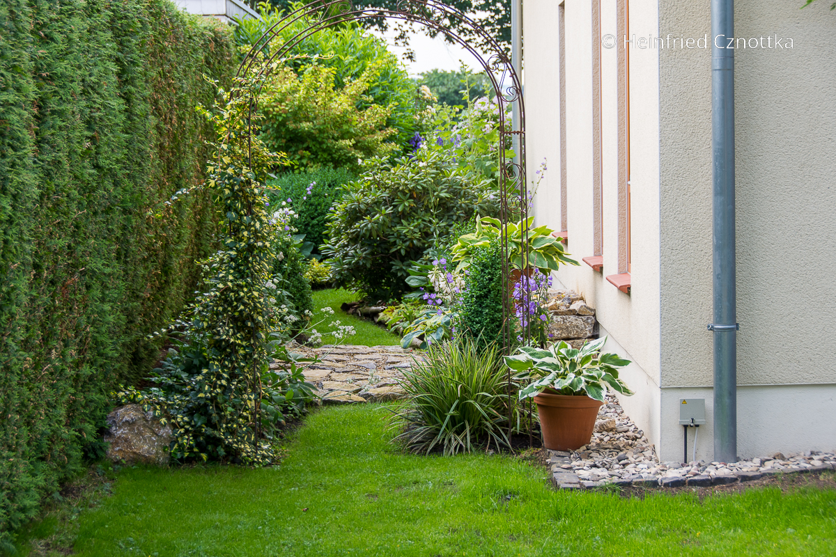 Gartenräume: ein schmaler Streifen am Haus attraktiv gestaltet
