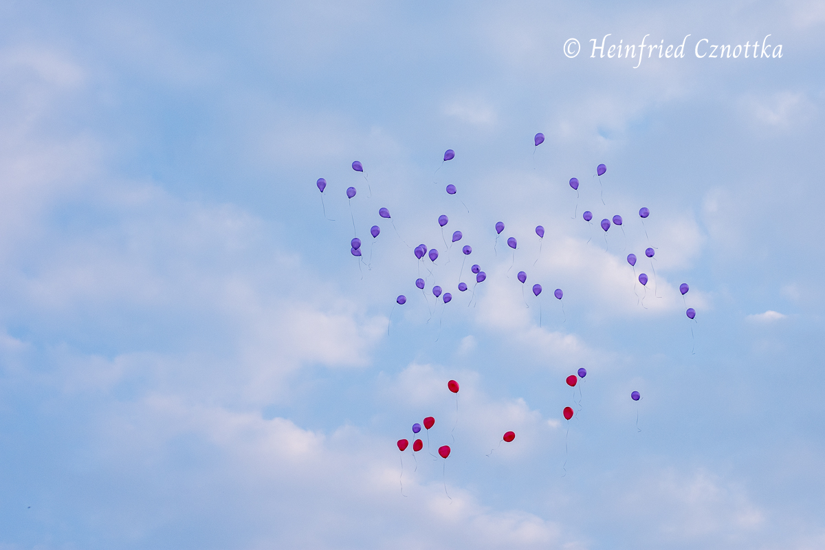 Landesgartenschau Bad Lippspringe, Luftballons am Himmel