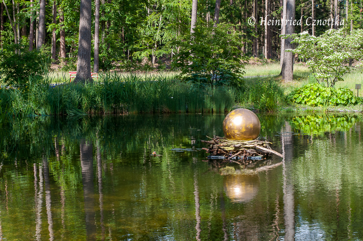Eine goldene Kugel schwimmt in einem Nest auf einem Teich