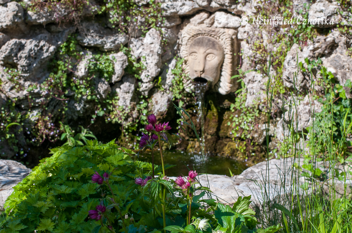 Der Löwenbrunnen im Gartenschaupark Bad Lippspringe