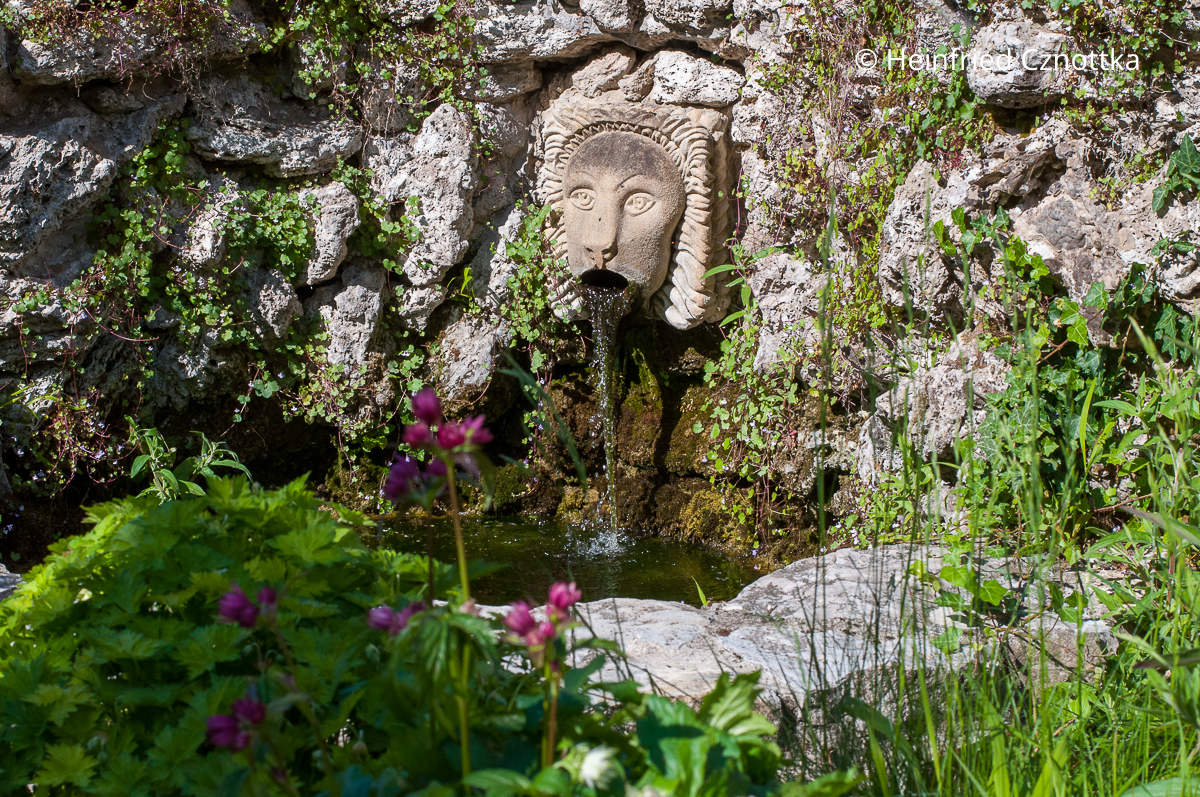 Ein Löwenkopf als Wasserspeier in einer Natursteinmauer Ein Löwenkopf als Wasserspeier in einer Natursteinmauer