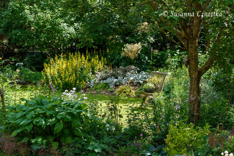 Gartenräume – Einfach Garten
