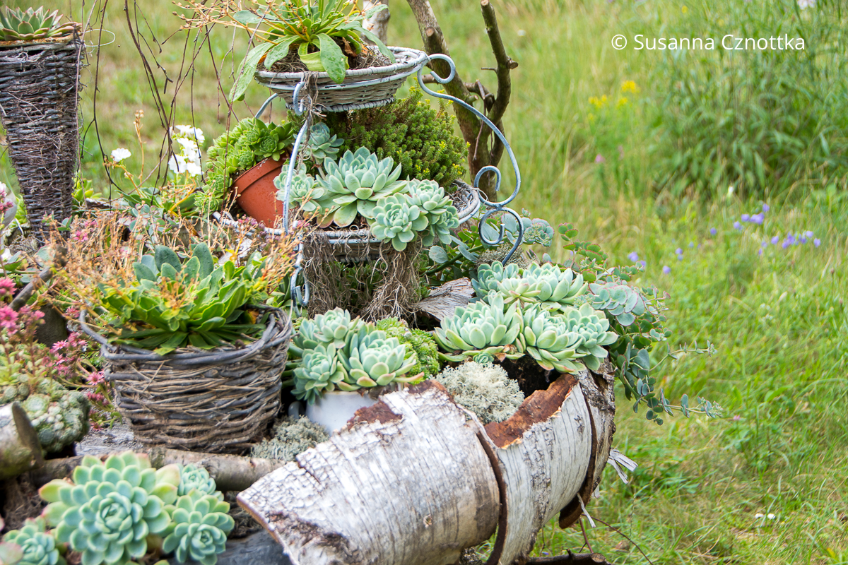 Werkstück aus der floralen Ausstellung "Zauberwelten": "Alice im Wunderland" von Anne Bussen