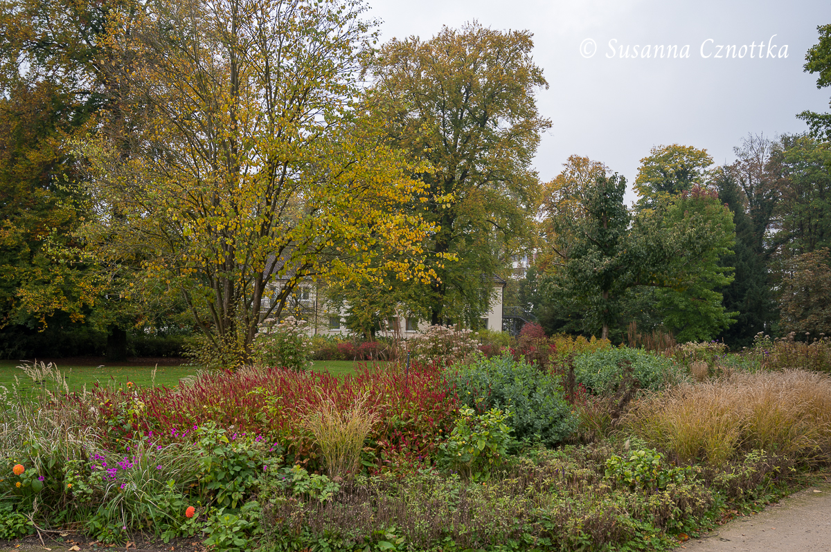 Herbstliche Farben im Kurpark Bad Lippspringe