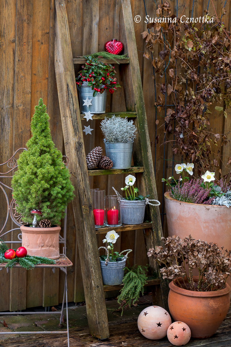Upcycling-Blumenleiter mit Gartendekoration im Advent