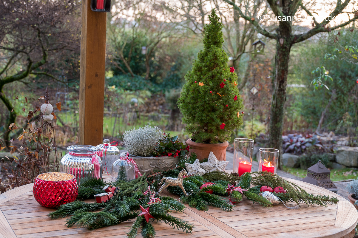 Weihnachtliche Stimmung auf dem Terrassentisch mit Zuckerhutfichte