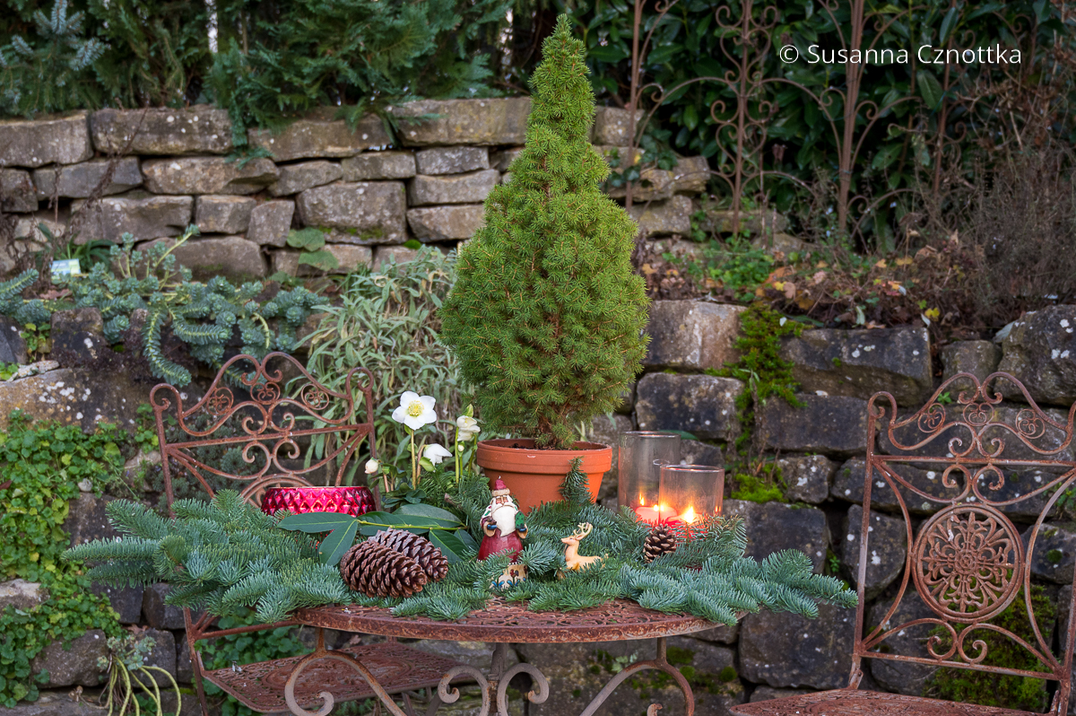 WEihnachtlicvh geschmückter Gartentisch mit Grün, Christrose, Zapfen und Dekofiguren
