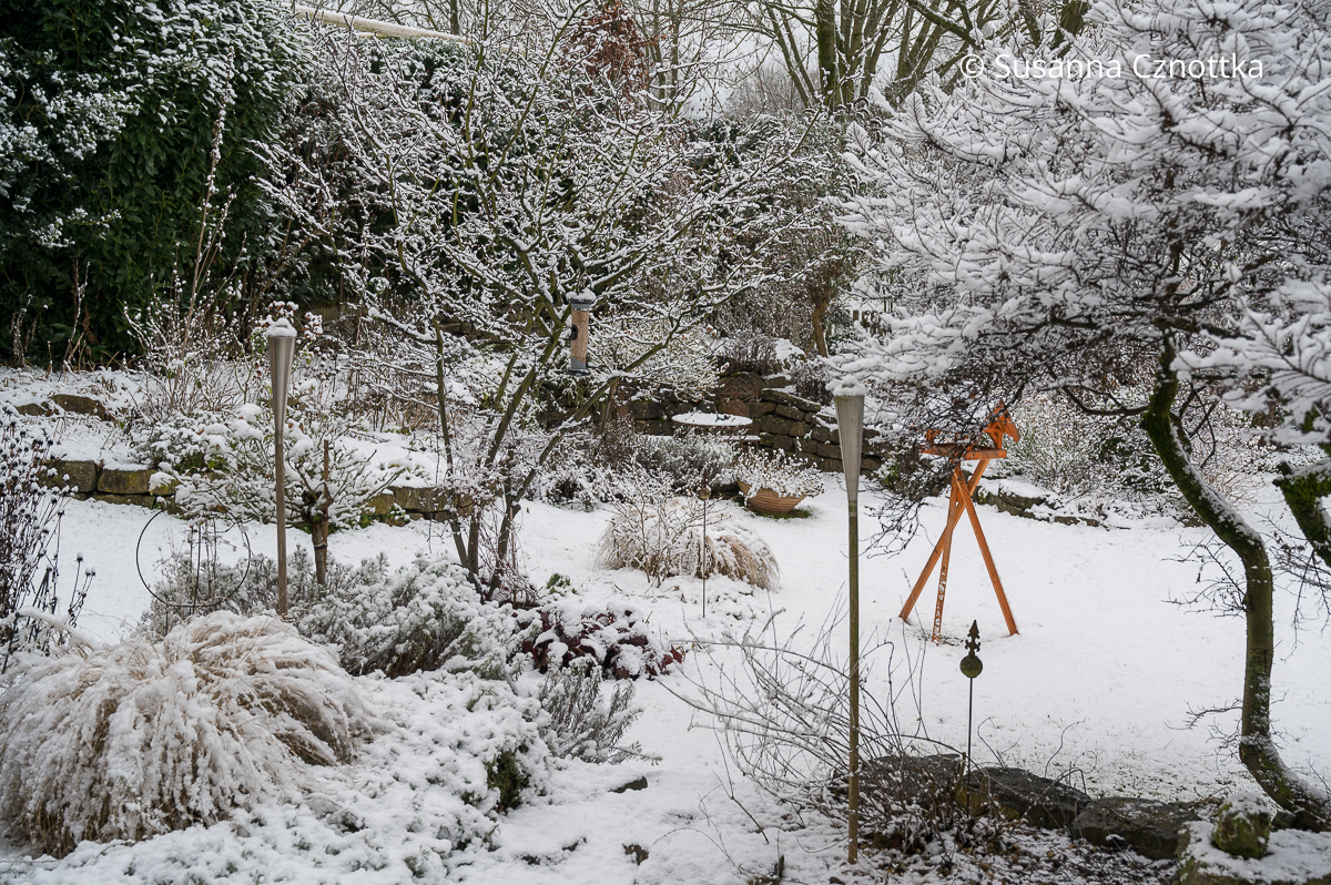 Garten im Winter: Strukturen von Stauden und Gräsern unter dem Schnee